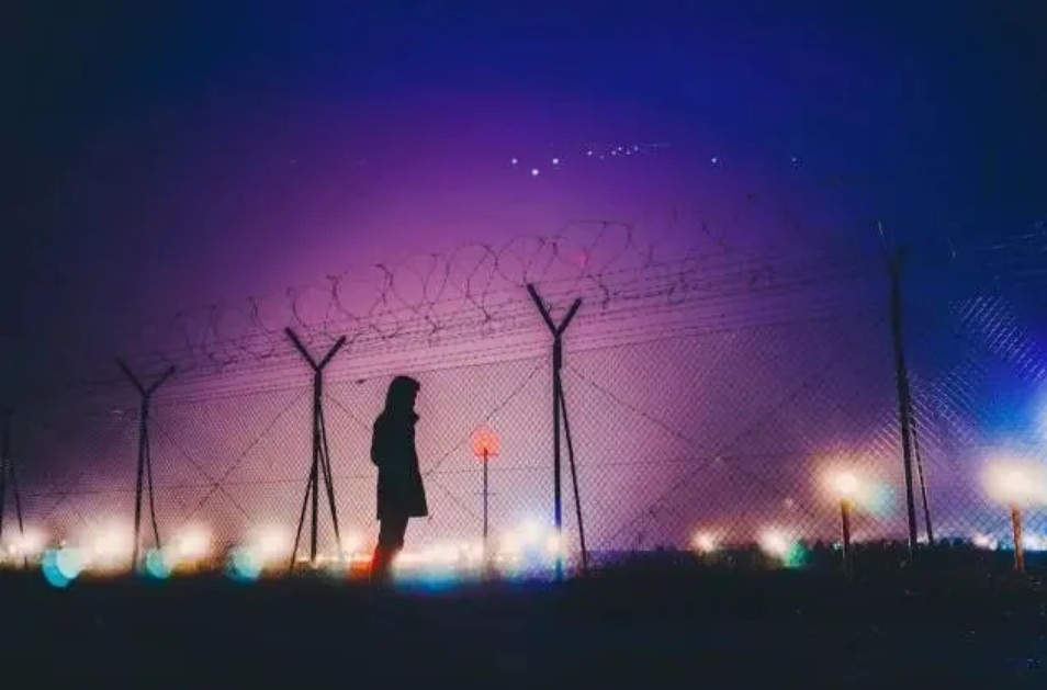 image-1775458778298