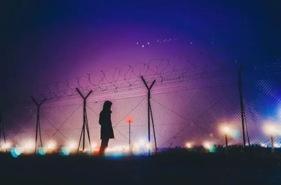 image-1775458832872