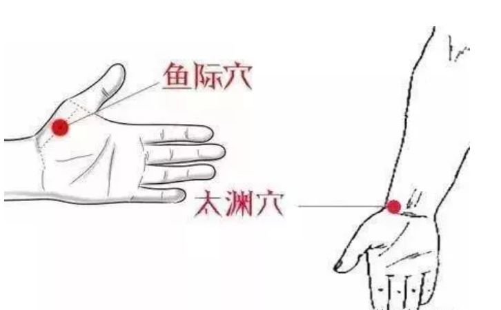 image-1777782865871