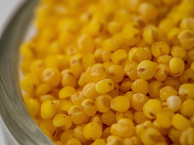 millet-5098547_640